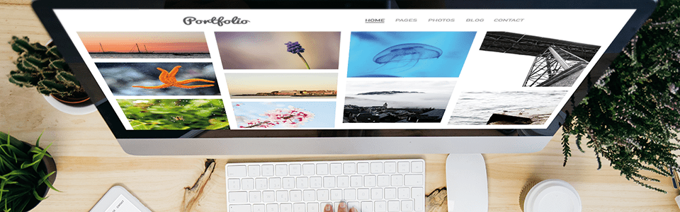 WS By Design - Portfolio